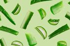 9-Aloe-Vera-Benefits-That-Dermatologists-and-Researchers-Want-You-To-Know-GettyImages-1302652997