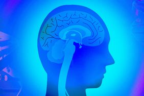 silhouette of a person showing internal nervous system and brain on a blue background surrounded by dna