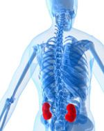 skeleton-body-kidneys-diabetes-risk