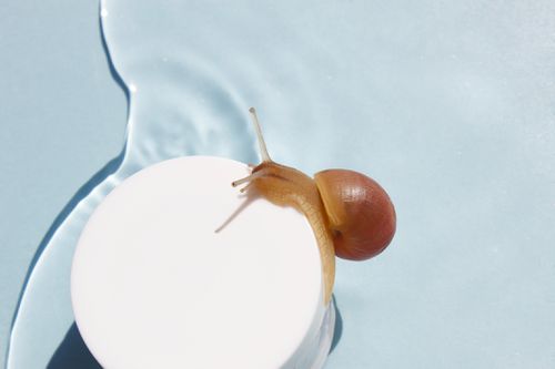 A snail on the jar of a skin cream; snail mucin